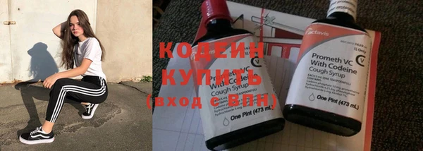 крисы Бугульма