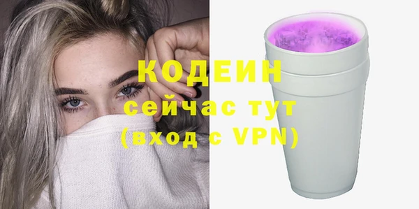 СК Бронницы