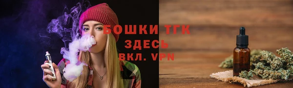 соль ск Бородино