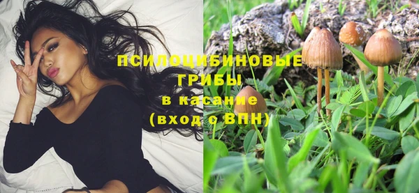 крисы Бугульма