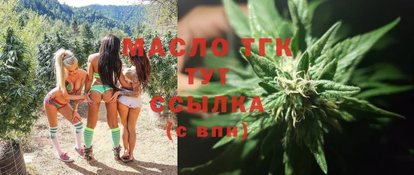 соль ск Бородино