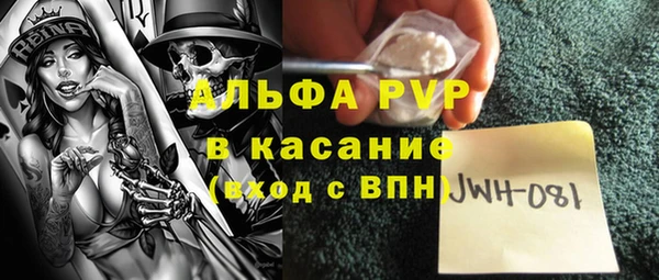 СК Бронницы