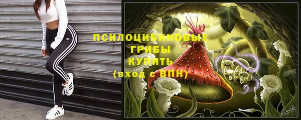 крисы Бугульма
