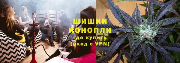 СК Бронницы