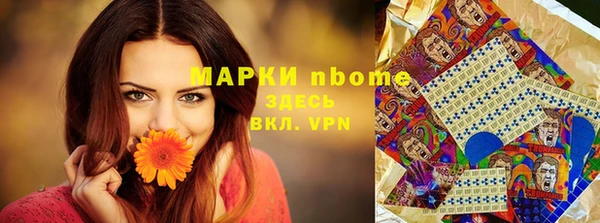 соль ск Бородино