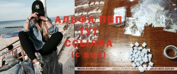 СК Бронницы