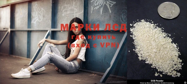 крисы Бугульма