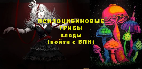 крисы Бугульма