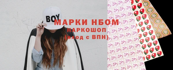 крисы Бугульма