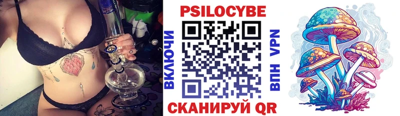 Купить  Новозыбков  Галлюциногенные грибы Cubensis 