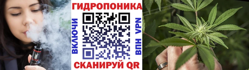 Купить где  Новозыбков  Марихуана ГИДРОПОН 